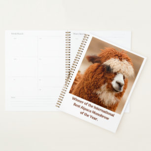 Beste Alpaca Monowenkbrauw Planner