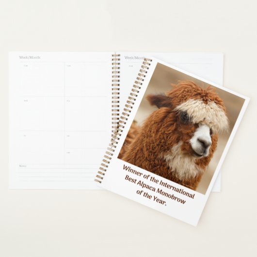 Beste Alpaca Monowenkbrauw Planner (Display)