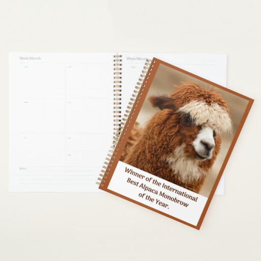 Beste Alpaca Monowenkbrauw Planner (Display)