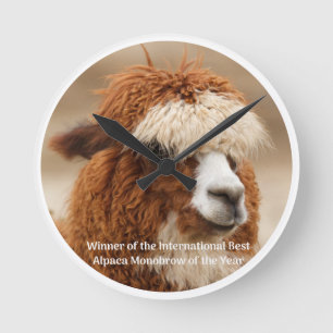 Beste Alpaca Monowenkbrauw Ronde Klok