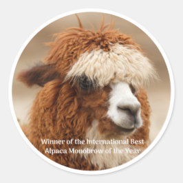 Beste Alpaca Monowenkbrauw Ronde Sticker