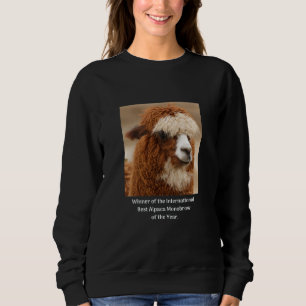 Beste Alpaca Monowenkbrauw Trui