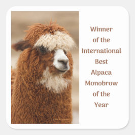Beste Alpaca Monowenkbrauw Vierkante Sticker