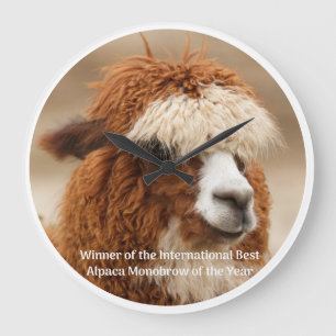 Beste Alpacawenkbrauw Grote Klok