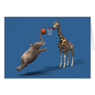 Beste Basketball Scorer