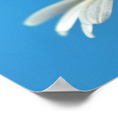 Beste Bee Poster (Hoek)