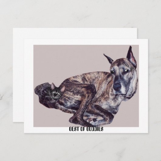 BESTE BUDDAES BRIEFKAART (Voorkant / Achterkant)