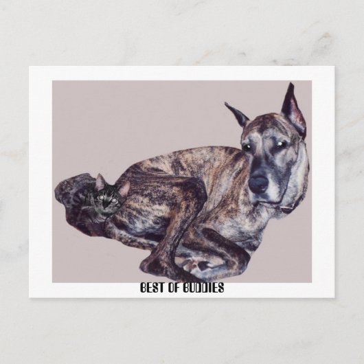 BESTE BUDDAES BRIEFKAART (Voorkant)