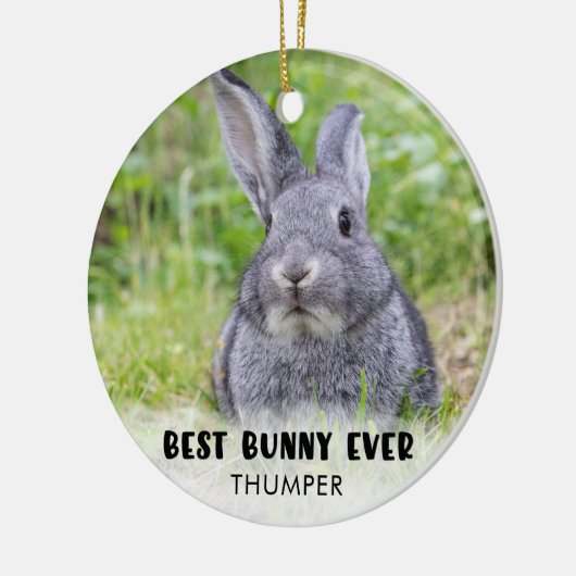 BESTE BUNNY OOIT Rabbit Foto gepersonaliseerd Keramisch Ornament (Links)