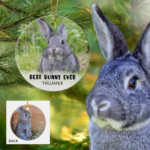 BESTE BUNNY OOIT Rabbit Foto gepersonaliseerd Keramisch Ornament