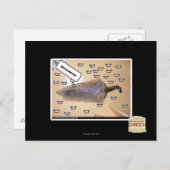 Beste cadeau evur briefkaart (Voorkant / Achterkant)