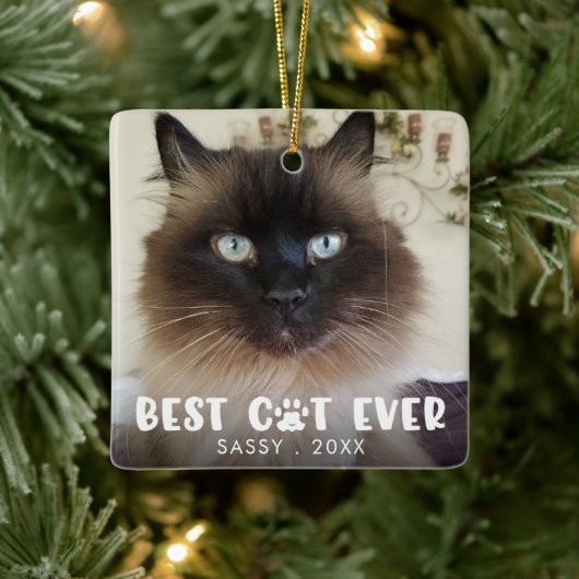 BESTE CAT ZELFS Pauw Afdrukken - Aangepaste foto Keramisch Ornament (Boom)