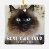BESTE CAT ZELFS Pauw Afdrukken - Aangepaste foto Keramisch Ornament (Voorkant)
