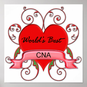 Beste CNA ter wereld Poster
