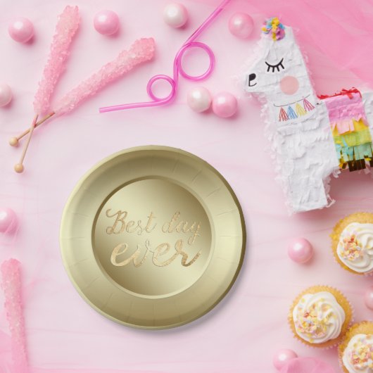 Beste dag ooit papieren bordje (Feest)
