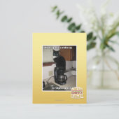 beste deel uvwakin omhoog briefkaart (Staand voorkant)