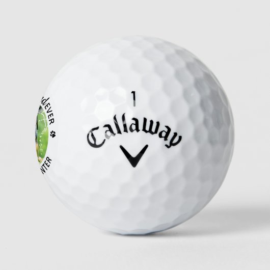Beste DOG DAD door persoonlijke, persoonlijke schi Golfballen (Logo)