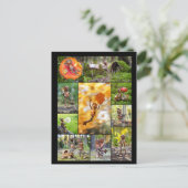 Beste eikel elfen foto's mozaïek postcrossing briefkaart (Staand voorkant)