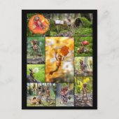 Beste eikel elfen foto's mozaïek postcrossing briefkaart (Voorkant)