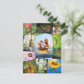 Beste eikel elfen foto's mozaïek postcrossing briefkaart (Staand voorkant)