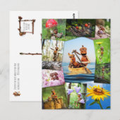 Beste eikel elfen foto's mozaïek postcrossing briefkaart (Voorkant / Achterkant)
