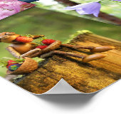 Beste eikel elfen foto's mozaïek poster (Hoek)