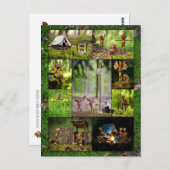 Beste eikel elfen kamp foto's mozaïek postcrossing briefkaart (Voorkant / Achterkant)