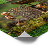 Beste eikel elven kamperen foto's mozaïek poster (Hoek)