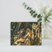 beste gitarist ooit briefkaart (Staand voorkant)