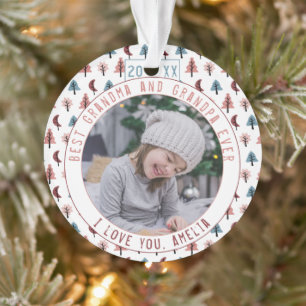 Beste grootouders Bomen Pastel Keepsake Foto Ornament