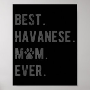 Beste Havanese Moeder Ooit - Grappig Havanese Hond Poster
