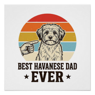 Beste Havanese Vader Ooit Vintage Hond Shirt Ontwe Perfect Poster