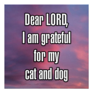 Beste HEER, ik ben dankbaar voor mijn kat en hond Perfect Poster