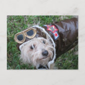 Beste Hond in Aviator Uitrusting Briefkaart (Voorkant)