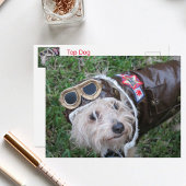 Beste Hond in Aviator Uitrusting Briefkaart