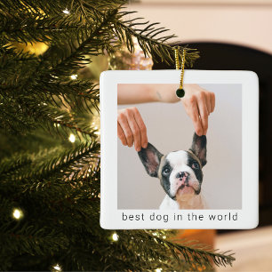 Beste hond in de wereld Dog Photo Keramisch Ornament