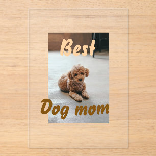 Beste hond-moeder bruine plas huisdier hond kat mo acryl uitnodigingen