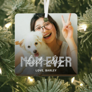 Beste hond-moeder ooit huisdier foto metalen ornament