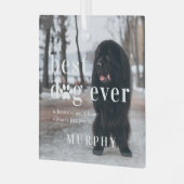 Beste hond ooit | Citaat- en fotocadeau Glas Ornament (Voorkant links)