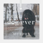 Beste hond ooit | Citaat- en fotocadeau Glas Ornament (Voorkant)