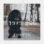 Beste hond ooit | Citaat- en fotocadeau Glas Ornament (Achterkant)