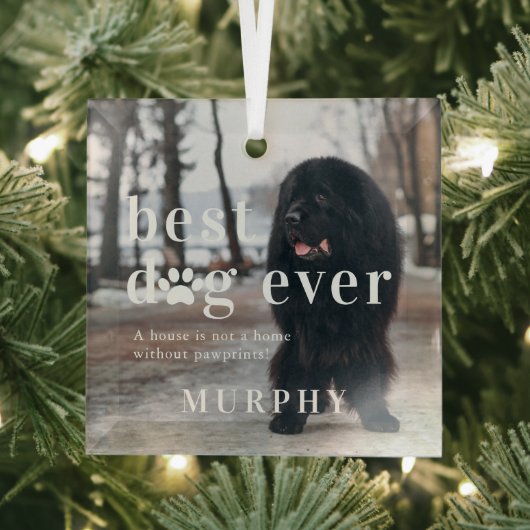 Beste hond ooit | Citaat- en fotocadeau Glas Ornament (Insitu)