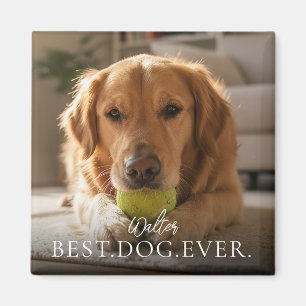 Beste Hond Ooit De naam en foto van uw huisdier Magneet