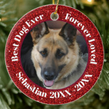 Beste Hond Ooit Duitse Herders Kersthuisdier Cadea