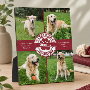 Beste Hond Ooit Foto Collage Fotoplaat