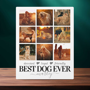 Beste Hond Ooit Foto Fotoplaat