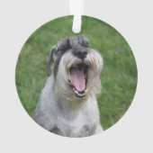 BESTE HOND OOIT Foto Zwart en Wit Buffalo Check Ornament (achterkant)