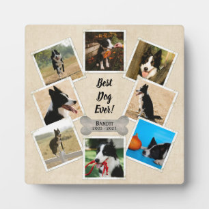 Beste Hond Ooit Gepersonaliseerde Foto Huisdierher Fotoplaat