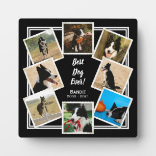 Beste Hond Ooit Gepersonaliseerde Foto Huisdierher Fotoplaat