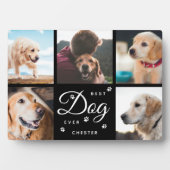 Beste Hond Ooit Herdenking Klauwen Modern Fotocoll Fotoplaat (voorkant)